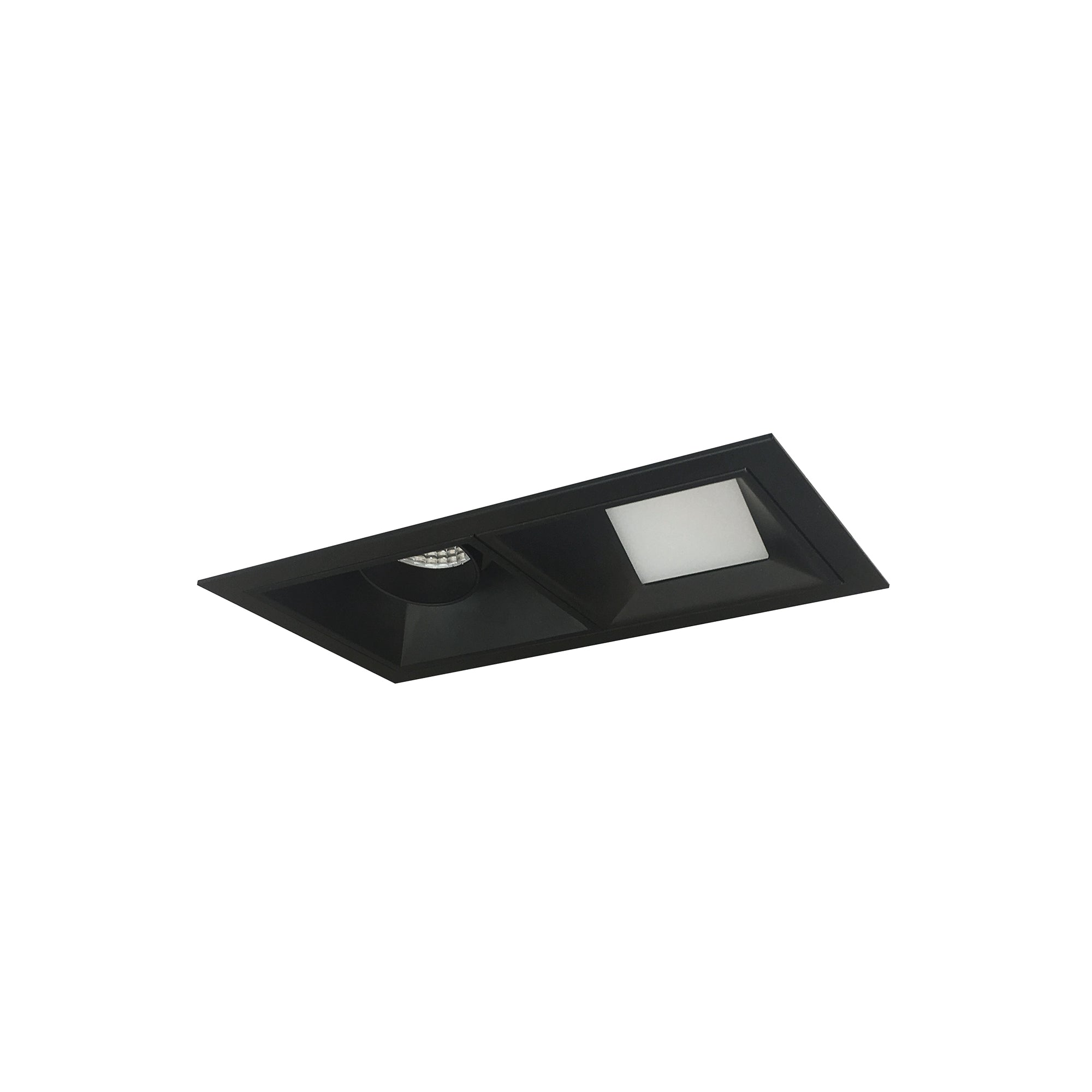 Nora Lighting NMIOT-12-B-AW-35X-10-B - Recessed - Iolite MLS 2-Head Trim Kit, Black Flange, 3500K, 1000lm, Black Adj. Snoot/Wall Wash Trims