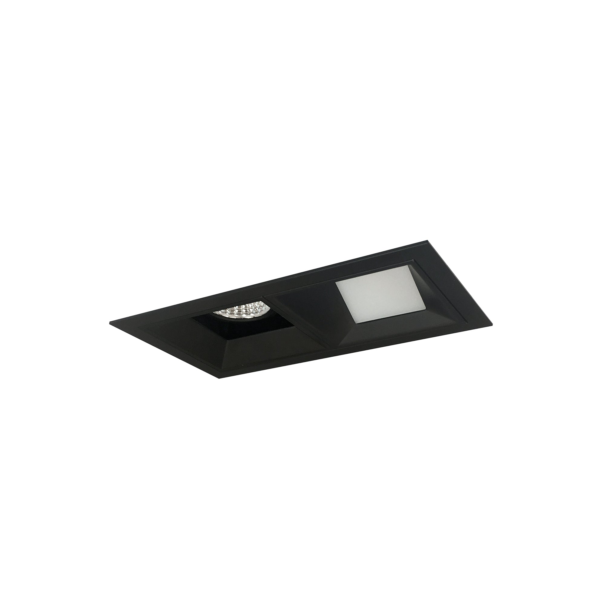 Nora Lighting NMIOT-12-B-FW-CDX-10-B - Recessed - Iolite MLS 2-Head Trim Kit, Black Flange, Comfort Dim, 800lm, Black Fixed Downlt./Wall Wash Trims