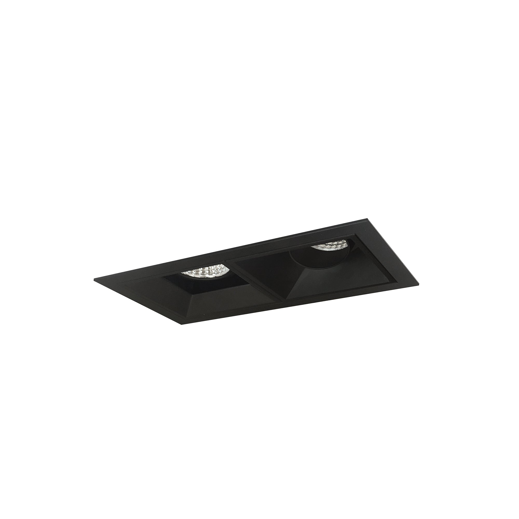Nora Lighting NMIOT-12-B-AF-CDX-10-B - Recessed - Iolite MLS 2-Head Trim Kit, Black Flange, Comfort Dim, 800lm, Black Adj. Snoot/Fixed Downlt. Trims