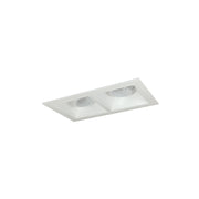 Nora Lighting NMIOT-12-MPW-AA-35X-10-MPW - Recessed - Iolite MLS 2-Head Trim Kit, MPW Flange, 3500K, 1000lm, MPW Adj. Snoot Trims