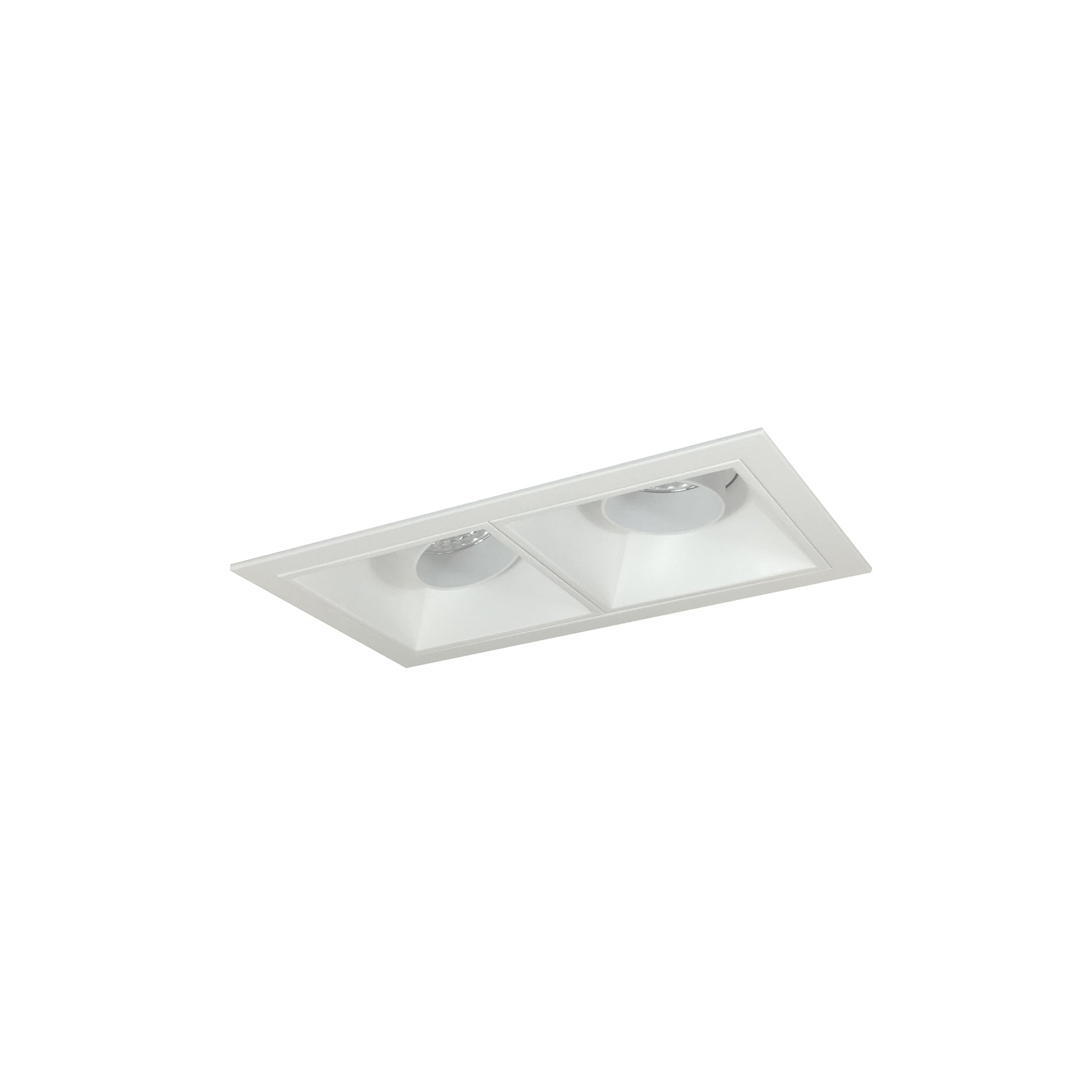 Nora Lighting NMIOT-12-MPW-AA-30X-10-MPW - Recessed - Iolite MLS 2-Head Trim Kit, MPW Flange, 3000K, 1000lm, MPW Adj. Snoot Trims